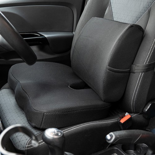 Lumbar back support - back, cushion