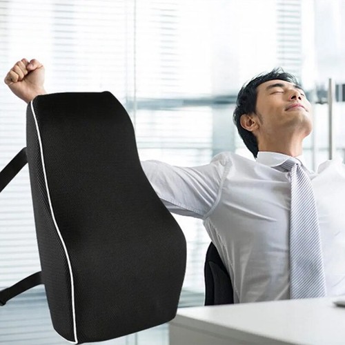 Lumbar back support cushion - back,