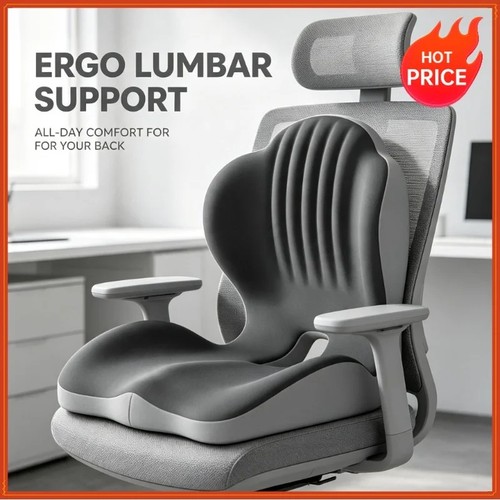 Ergonomic back and seat - back,
