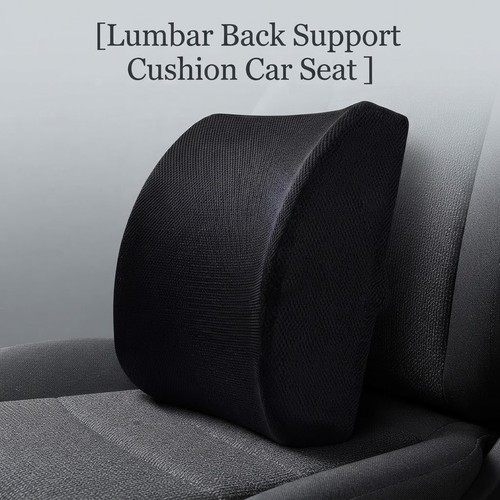 Lumbar back support - support, cushion